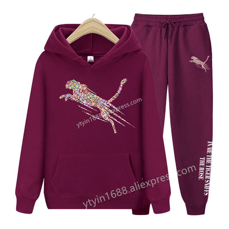 สตรี TrackSuit ความงามเสื้อ Sw - Hoodie Women Oversized บทวิจารณ์และราคา